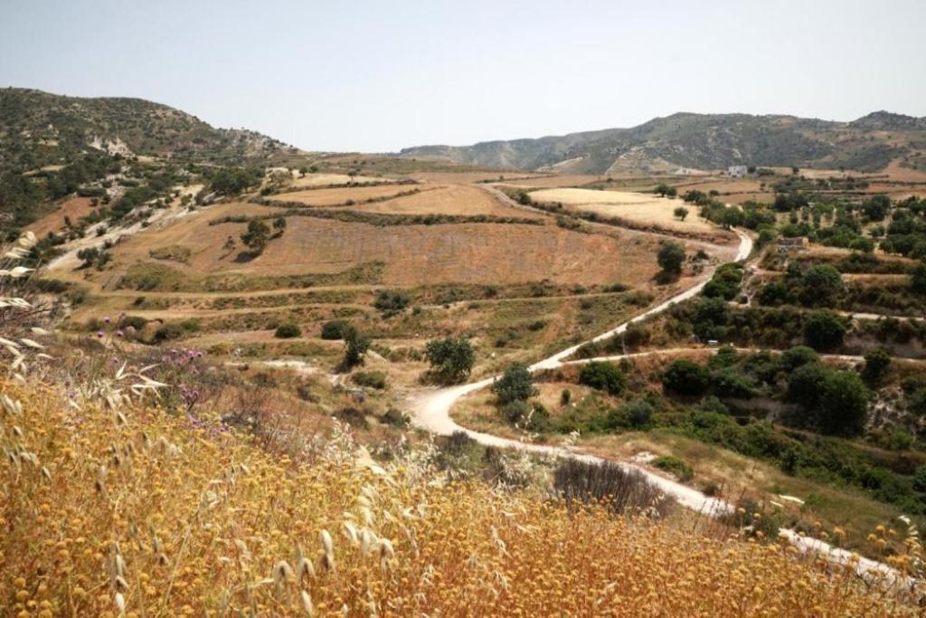 Panoramic Holidays 페이야 외부 사진
